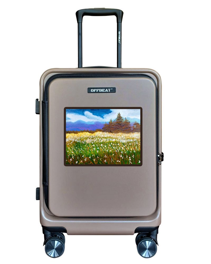 Wildflower Field 20" Front Opening Luggage